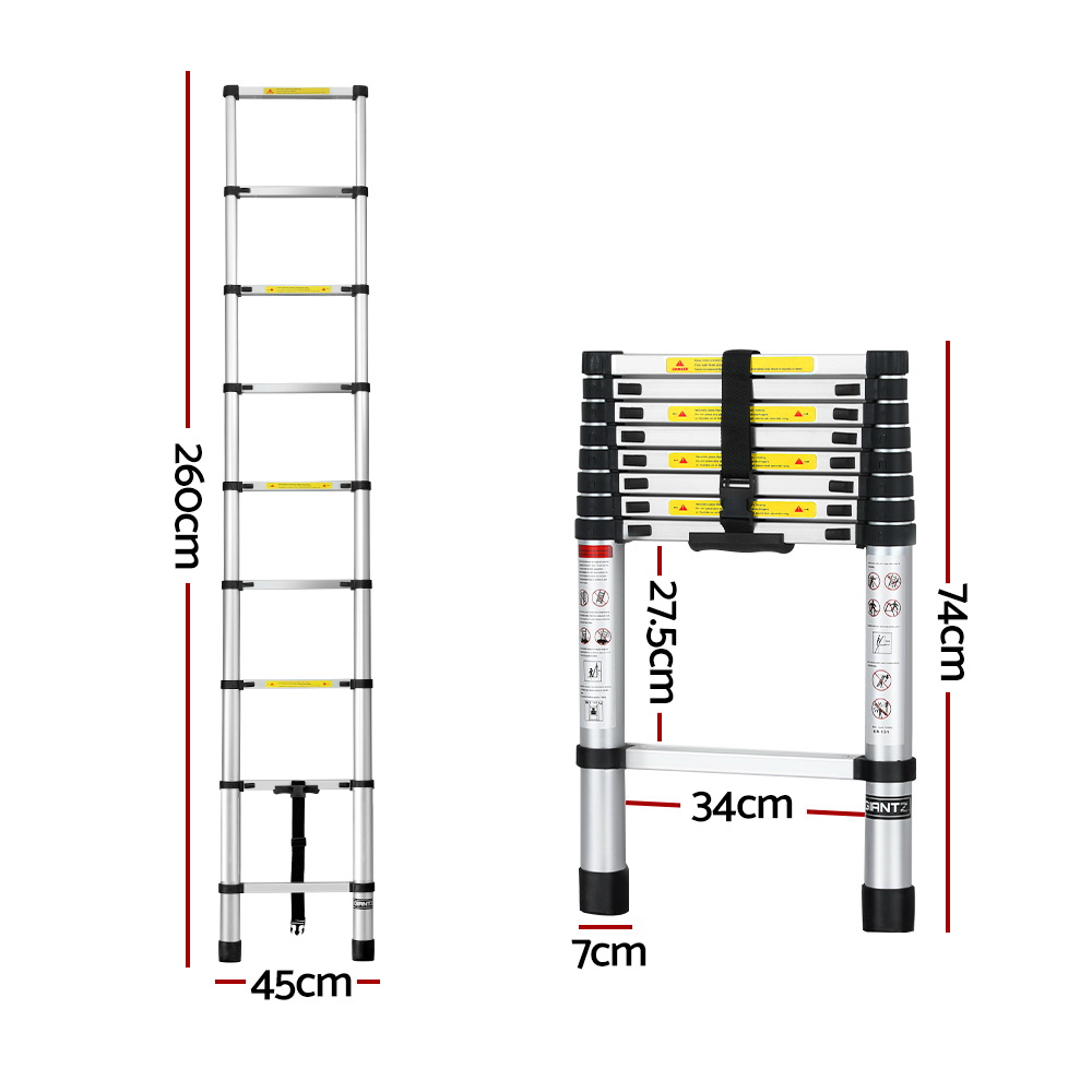 Telescopic Ladder